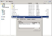客户机无法启动,报Can not connect to the server 0.0.0.0:0-EasySupport | 易速