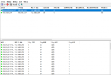 Ping info view测试网络工具-EasySupport | 易速