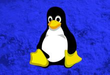 努力了30年 LINUX PC达成最高光时刻:份额终于突破3%-EasySupport | 易速