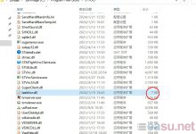 易乐游安装完后后任务管理器闪退-EasySupport | 易速