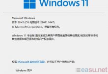 Windows 10和Windows 11版本号 区分区别-EasySupport | 易速