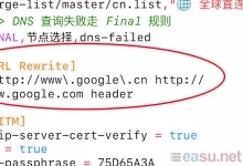 Surge IOS 版本的 URL重写 功能-EasySupport | 易速